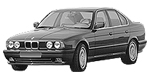 BMW E34 P1E51 Fault Code